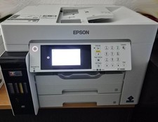 Epson ecotank pro gebraucht kaufen  Heusenstamm