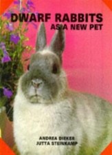 Dwarf rabbits new for sale  UK