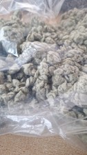 Grow steinwolle lose gebraucht kaufen  Konstanz