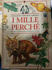 Mille perche domande usato  Pozzuoli