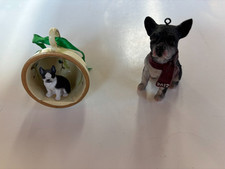 Boston terrier teacup for sale  Saint Charles