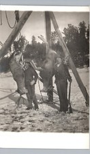 Cartão postal foto real HUNTERS & DEAD DEER c1910 RPPC caça ao ar livre neve inverno comprar usado  Enviando para Brazil