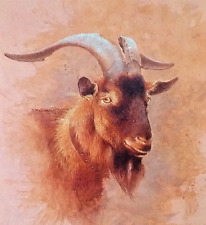 .english billy goat for sale  NELSON