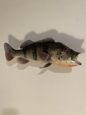 Peacock bass taxidermy for sale  Tuscaloosa