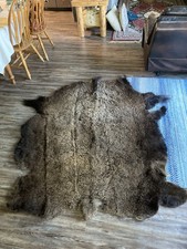 Genuine bison buffalo for sale  Kila