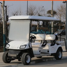 carrinho golfe comprar usado  Enviando para Brazil