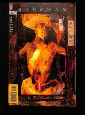 Sandman (1989) #74 Vertigo 1996, usado comprar usado  Enviando para Brazil