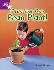 Rigby Star Guided Quest Purple: Grow ... by Ciciano, Joseph Paperback / softback comprar usado  Enviando para Brazil