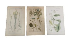 Anciennes gravures planches d'occasion  Amiens-