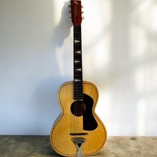 Vintage serenader archtop for sale  Hingham