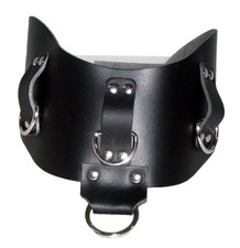 Leder halskorsett ringen gebraucht kaufen  Steinbach-Hallenberg