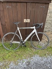 Cannondale optimo size for sale  AMMANFORD
