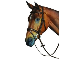 Collegiate bridon cuir d'occasion  Expédié en France