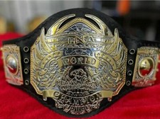 New tna heavyweight usato  Pioltello