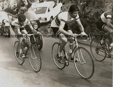 Fotografia originale gimondi usato  Milano