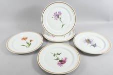 C09l56 teller rosenthal gebraucht kaufen  Neu-Ulm
