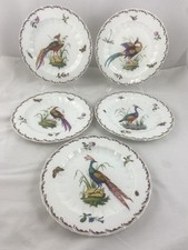 Chelsea style bird for sale  PLYMOUTH