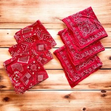 Lot vintage red for sale  Coraopolis