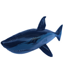 Aufblasbare wasserspielzeuge p gebraucht kaufen Aufblasbare wasserspielzeuge p gebraucht kaufen  Gütenbach