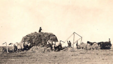 Usado, Tarjeta postal con foto real de equipo de heno de granja temprana RPPC segunda mano  Embacar hacia Argentina