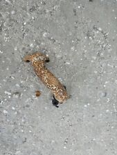 Scarico tubo scarico usato  Faenza