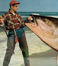 Surf fishing bass for sale  Lavallette