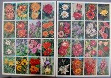 Lot planches bons d'occasion  Arras