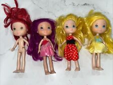 Lot strawberry shortcake for sale  Salt Lake City