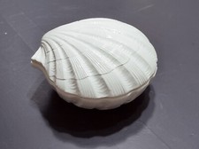Conchiglia ceramica bassano usato  Catania