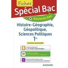 Livre spécial bac d'occasion  Les Mureaux