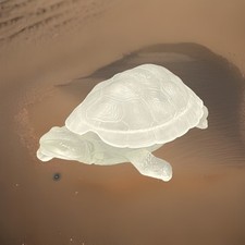 Bonbonnière boîte tortue d'occasion  Strasbourg-