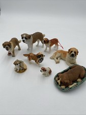 St. bernard dog for sale  Madison