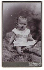 Fotografie tto zeumer gebraucht kaufen  Berlin
