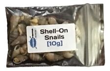 Snails tropical fish for sale  SITTINGBOURNE