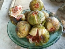 Campanière unk fig d'occasion  Landerneau