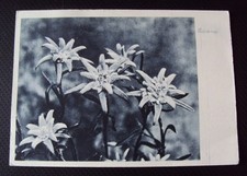 franz schmidt gebraucht kaufen  Gundelfingen a.d.Donau