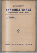 Anatomia umana artrologia usato  Santa Maria a Vico