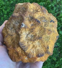 Superbe marcassite 1kg783 d'occasion  Sarlat-la-Canéda