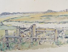 Original pen watercolour for sale  WIRRAL