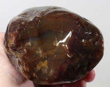 Brazil rainbow agate for sale  Polson