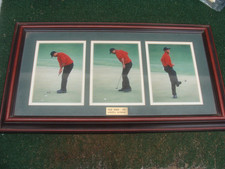Tiger woods 1997 for sale  Weatherford