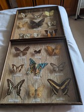 Frames real vintage for sale  GLASGOW