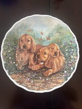 Royal albert playful for sale  Bonita Springs