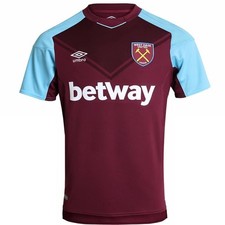 West ham united gebraucht kaufen  Bischofsheim i.d.Rhoen