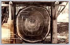 Rppc fallen tree for sale  Newton