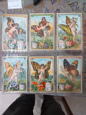 farfalle usato farfalle usato  Pavia