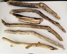 Driftwood pieces sea for sale  CLACTON-ON-SEA