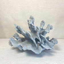 Blue ridge coral for sale  Los Osos