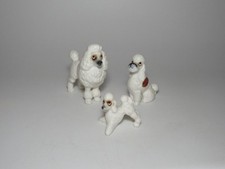 French poodle family for sale  Delaware