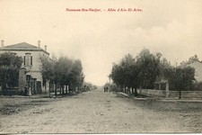 Postcard algeria hammam d'occasion  Expédié en Belgium